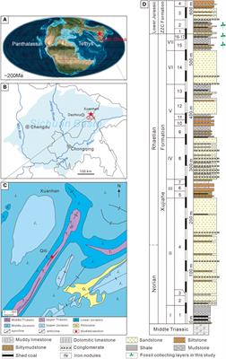 Plant-insect interactions across the Triassic–Jurassic boundary in the Sichuan Basin, South China